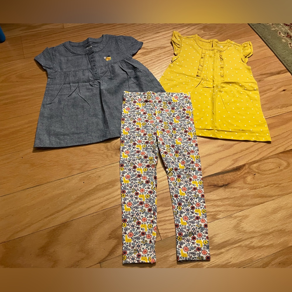 Adorable Spring/Fall NWOT set 3T